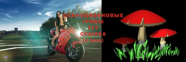 эйфоретик Корсаков
