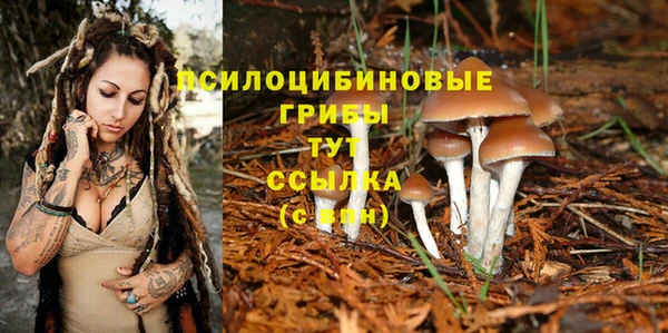 мдма Коряжма
