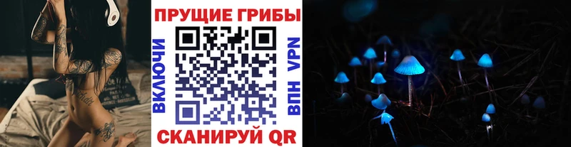 Псилоцибиновые грибы Cubensis  Конаково 