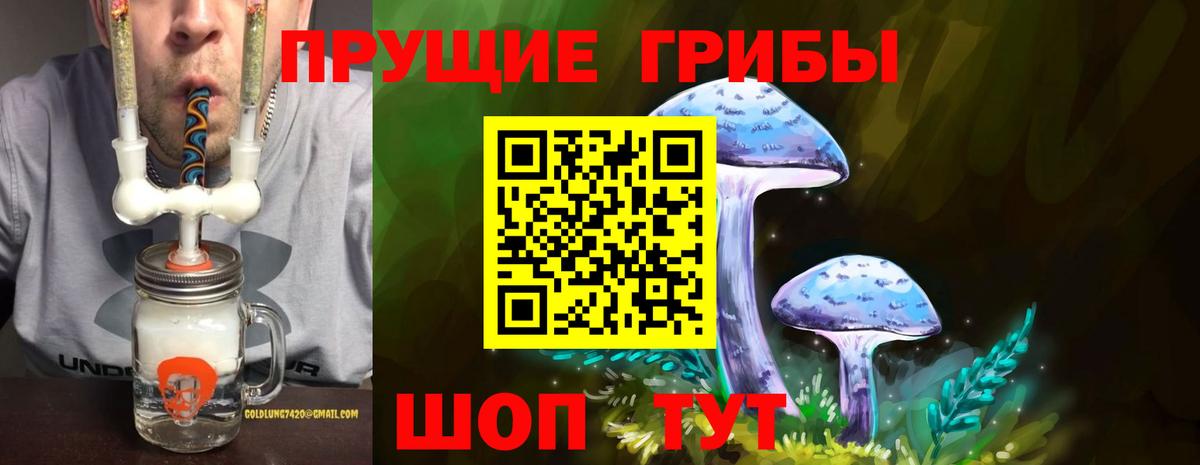 Галлюциногенные грибы MAGIC MUSHROOMS  Вход с VPN  наркошоп  Конаково 